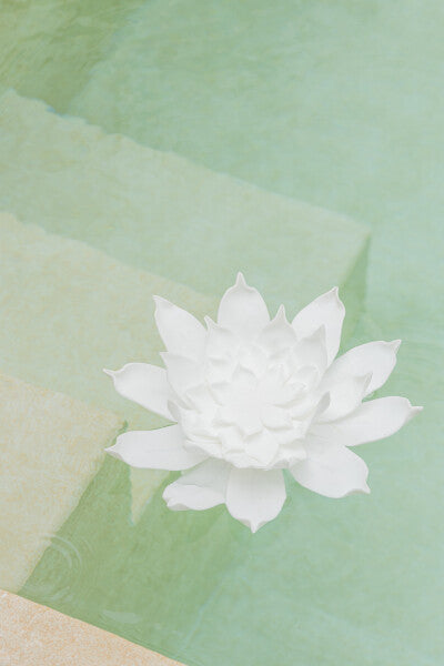 Fiore da sospendere muro Eva