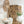 Foglia Decorativa Bambu/Foglie Di Banano Naturale Large