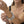 Bracciale rigido piatto onde